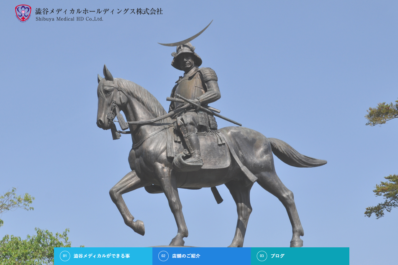 澁谷メディカルホールディングス